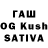 Псилоцибиновые грибы Cubensis Wolf Company