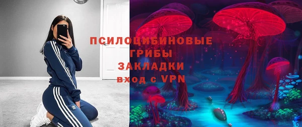 гашик Белокуриха